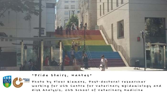 Pride Stairs Nantes France